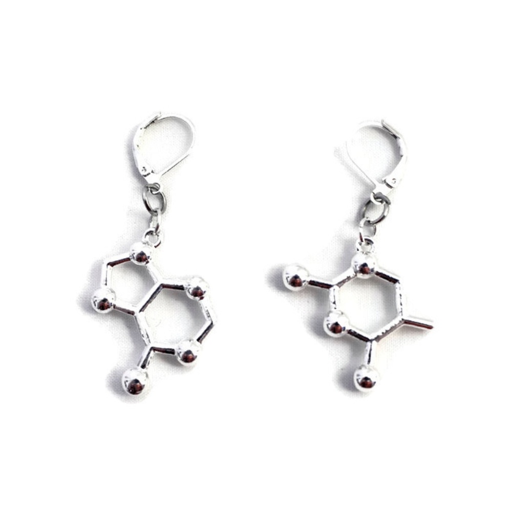 Adenine and Thymine AT Science Molecule Earrings
